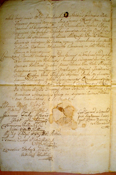 A pozsonyi ág 1773-as nemességigazoló oklevele (2. oldal)
